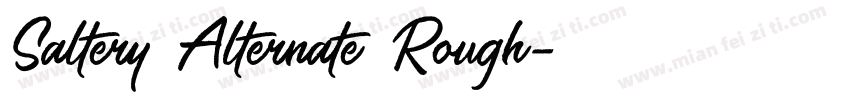 Saltery Alternate Rough字体转换